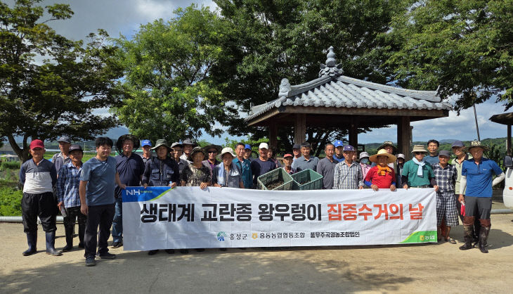 홍성군