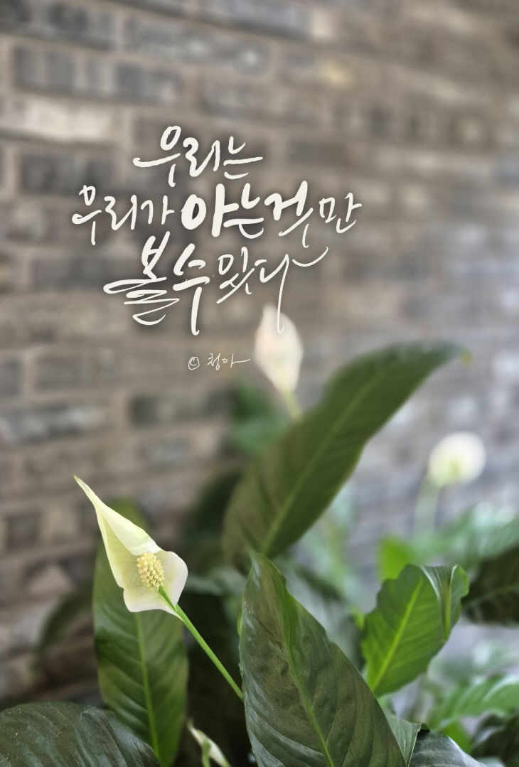 KakaoTalk_20250721_092712155