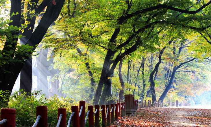 상림공원