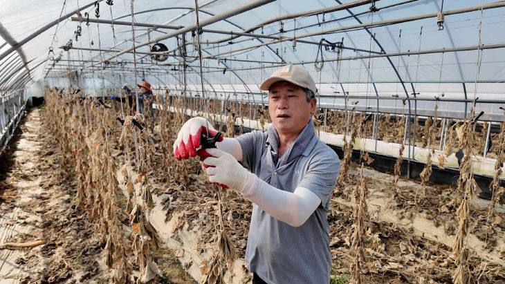 수해 지역 봉사1