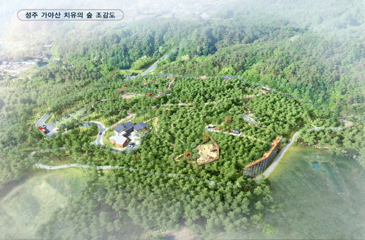 성주 가야산 치유의 숲 조성계획 승인 완료