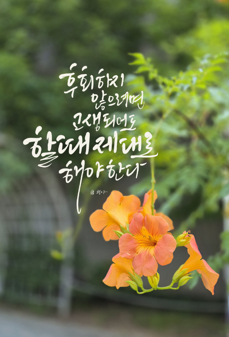 KakaoTalk_20250728_082452971