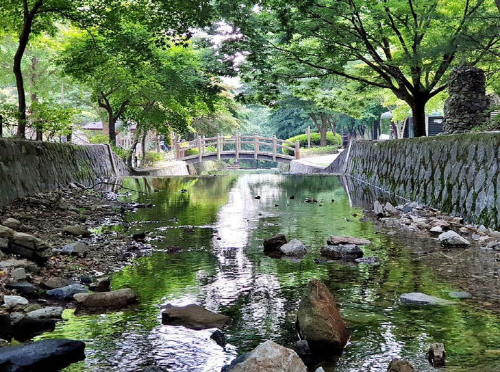 봉학골산림욕장 계곡 사진.