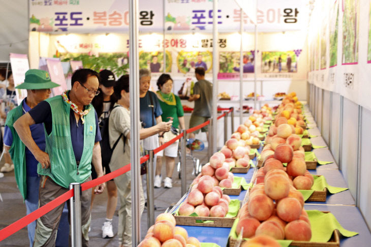 사진1) 포도복숭아 품종 비교 전시관(복숭아)(2024)