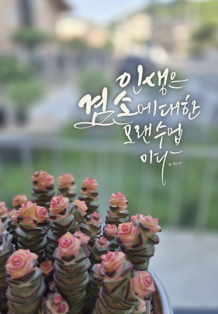 KakaoTalk_20250728_082346008