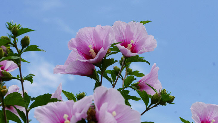 보령시
