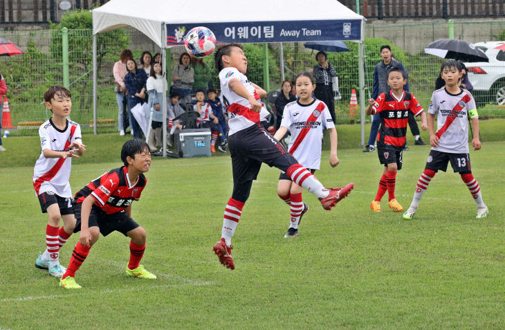 화랑대기 축구