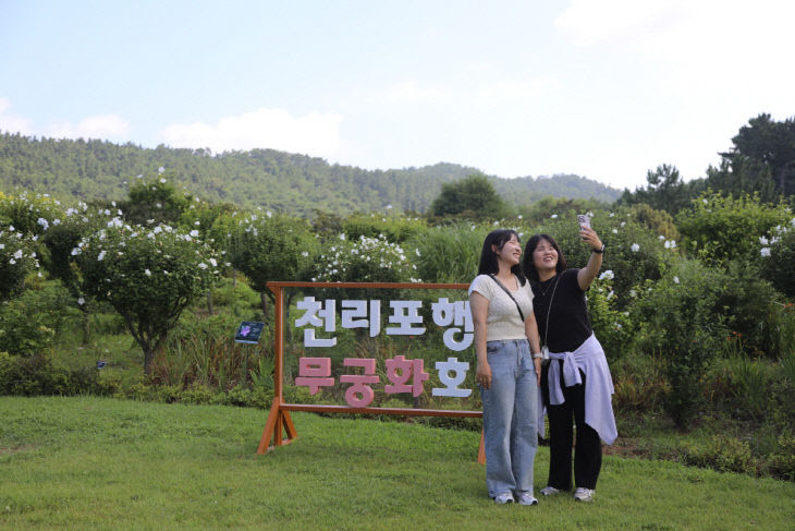 5. 탐방객이 천리포수목원 무궁화동산을 즐기고 있다.