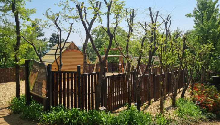녹지과-새로 조성된 성남시 식물원 숲놀이터 모습
