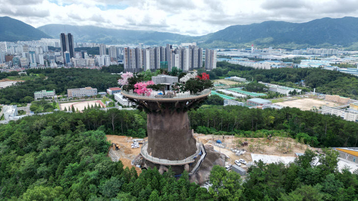 대상공원 빅트리