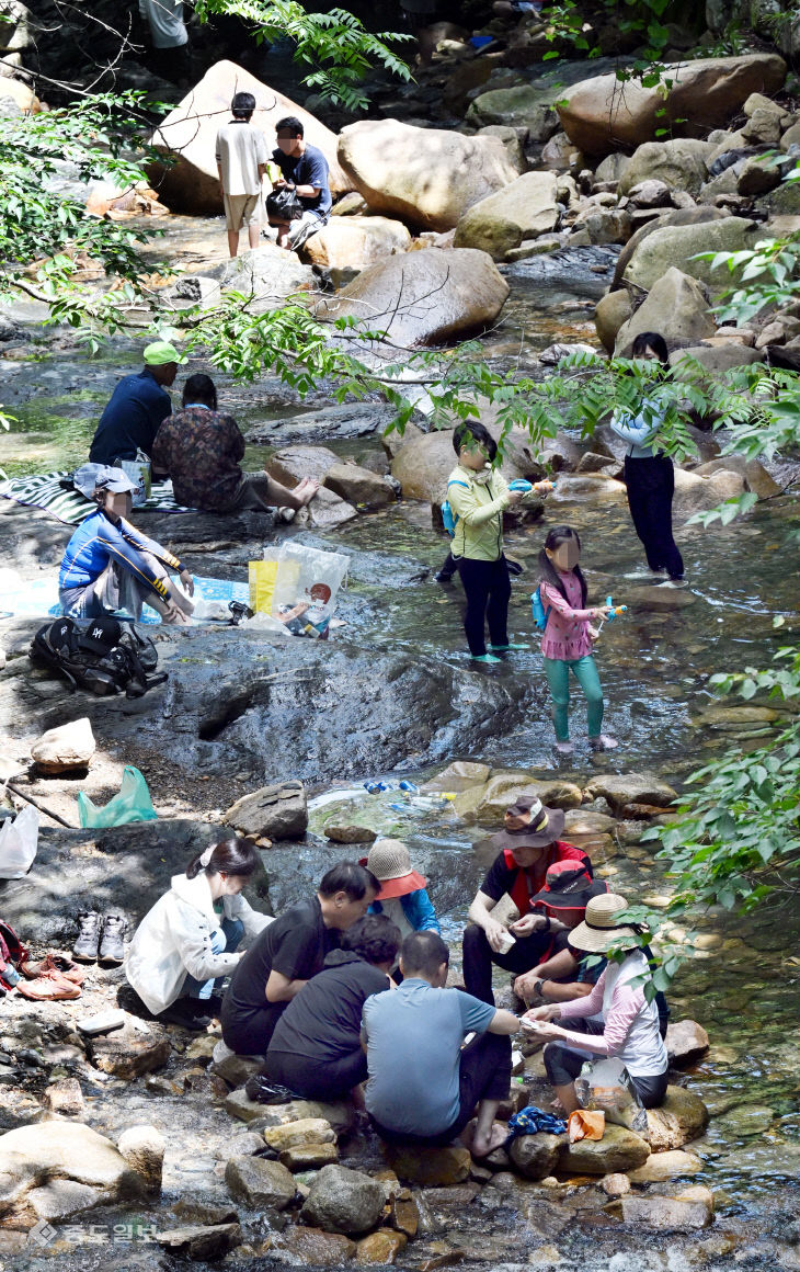 20250810-계곡 물놀이3