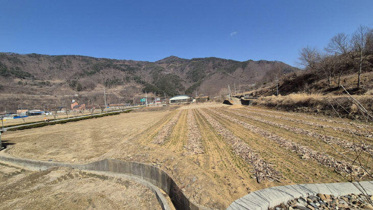 보도 1) 영춘 체육센터 부지(1)