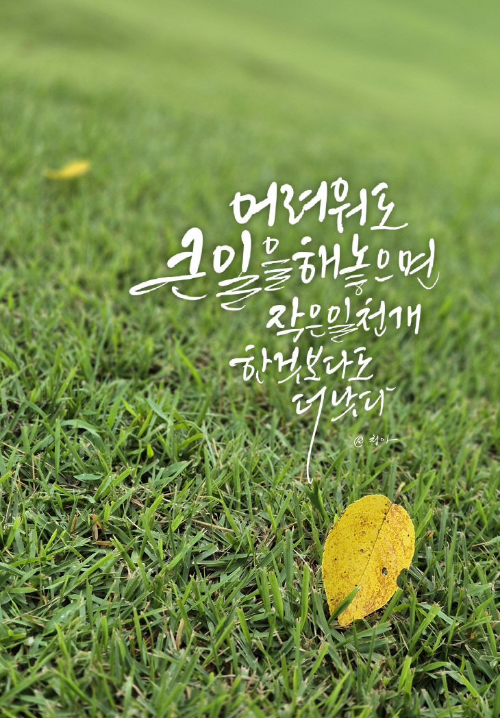 KakaoTalk_20250807_081318930