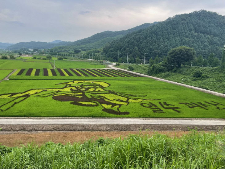 논그림