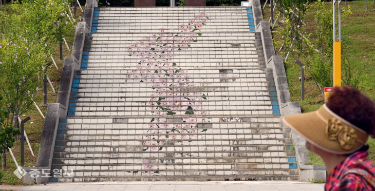 20250812-무궁화 한반도 눈길1