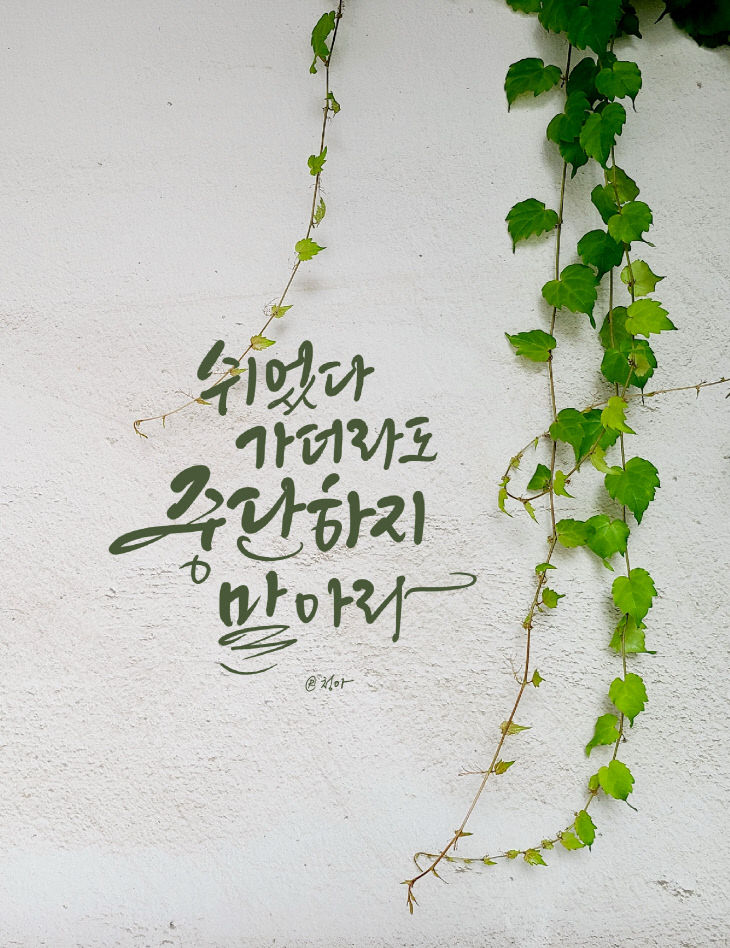 KakaoTalk_20250807_081432445