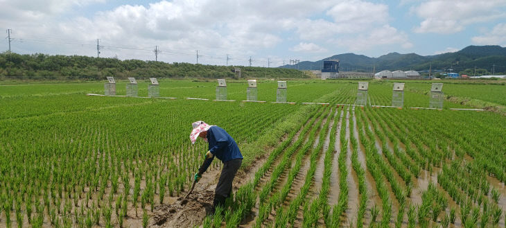 저탄소 농가