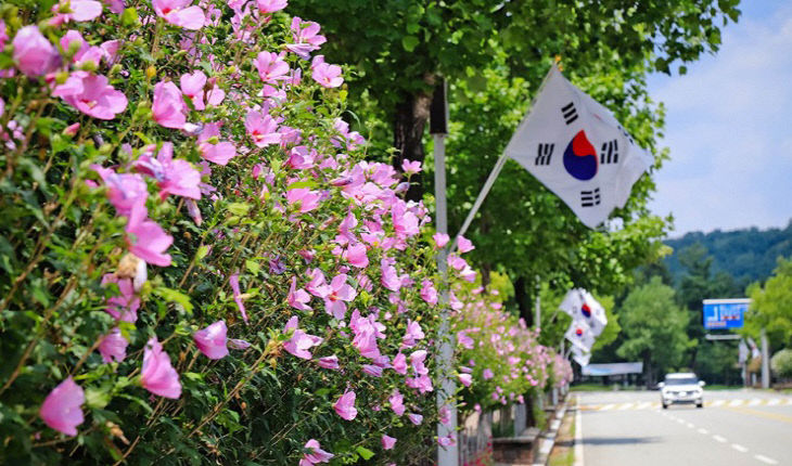 무궁화길