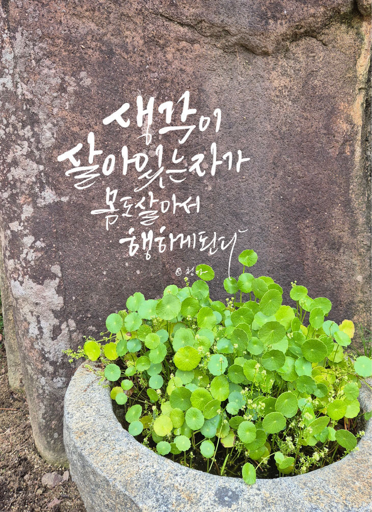 KakaoTalk_20250813_081116927