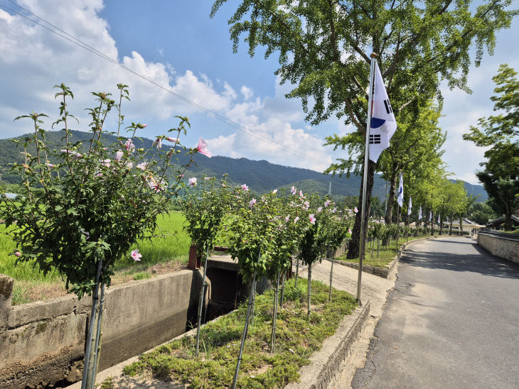 3.매헌 무궁화동산 모습