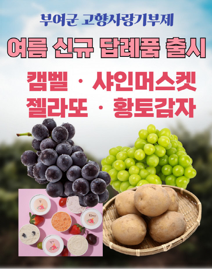 2.고향사랑기부제 여름맞이 신규 답례품 포스터