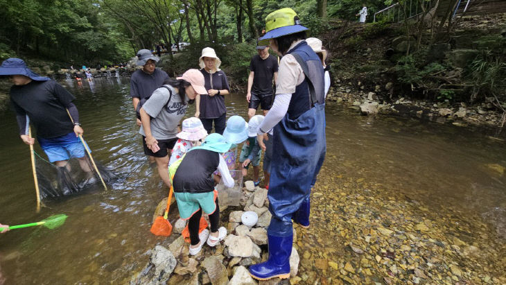 금산산림문화타운 여름철 특별프로그램 2