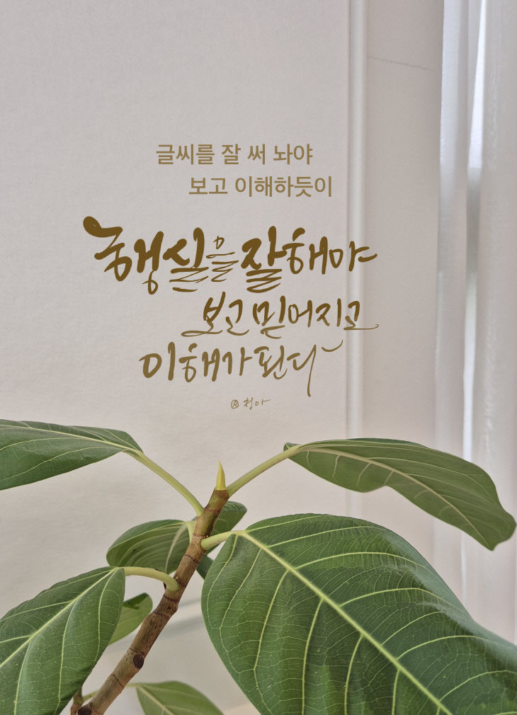 KakaoTalk_20250814_082617571