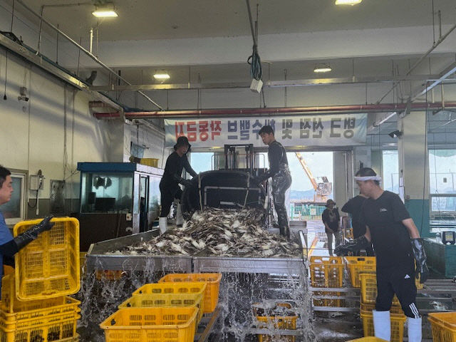 보령시