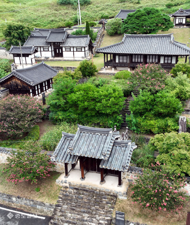 20250826-배롱나무와 유회당1