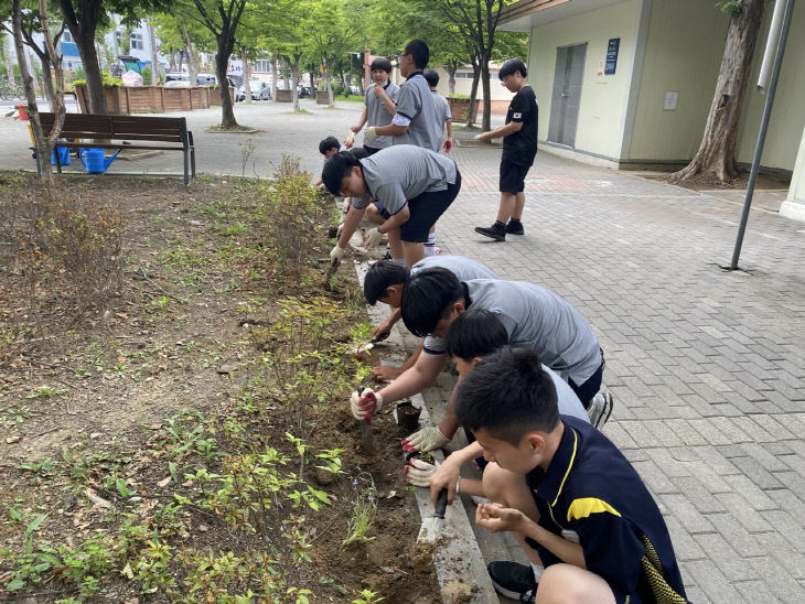 게릴라가드닝_공원에심는모습1