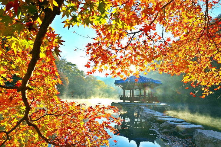 0829 정읍시, 내장산 한국관광공사 실증사업 선정(우화정)