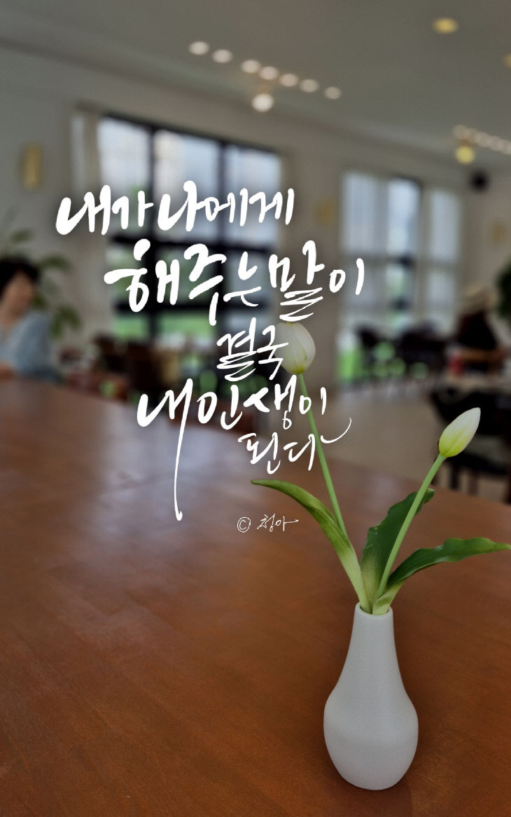 KakaoTalk_20250826_081946068