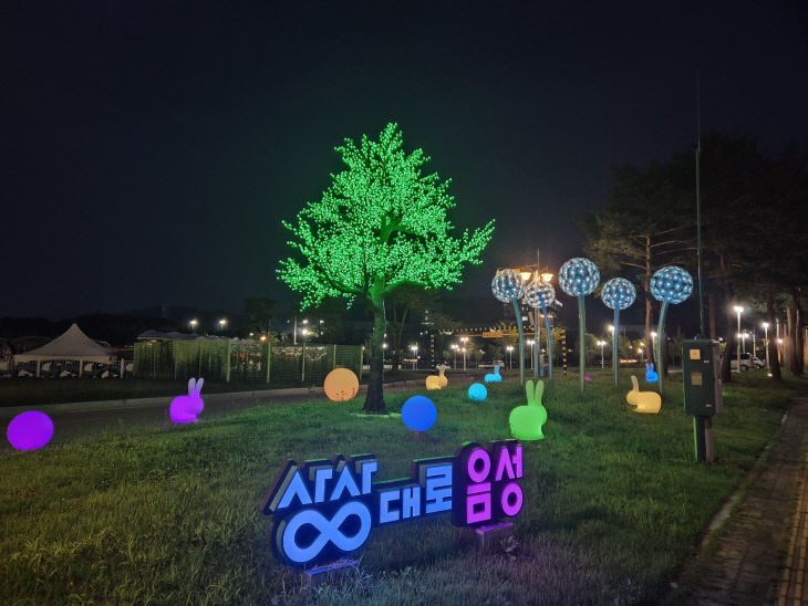 조명장식으로 야간산책의 명소가 된 맹동면 두성2리