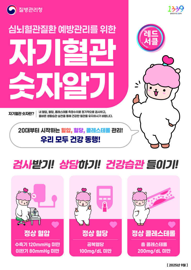 자기혈관 숫자 알기 홍보