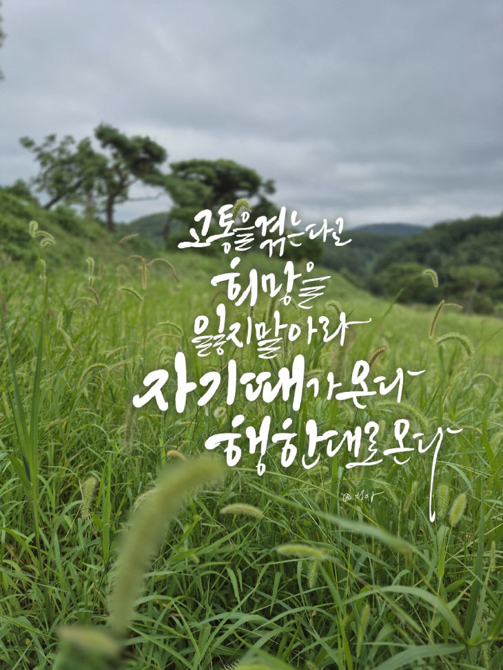 KakaoTalk_20250828_082346428