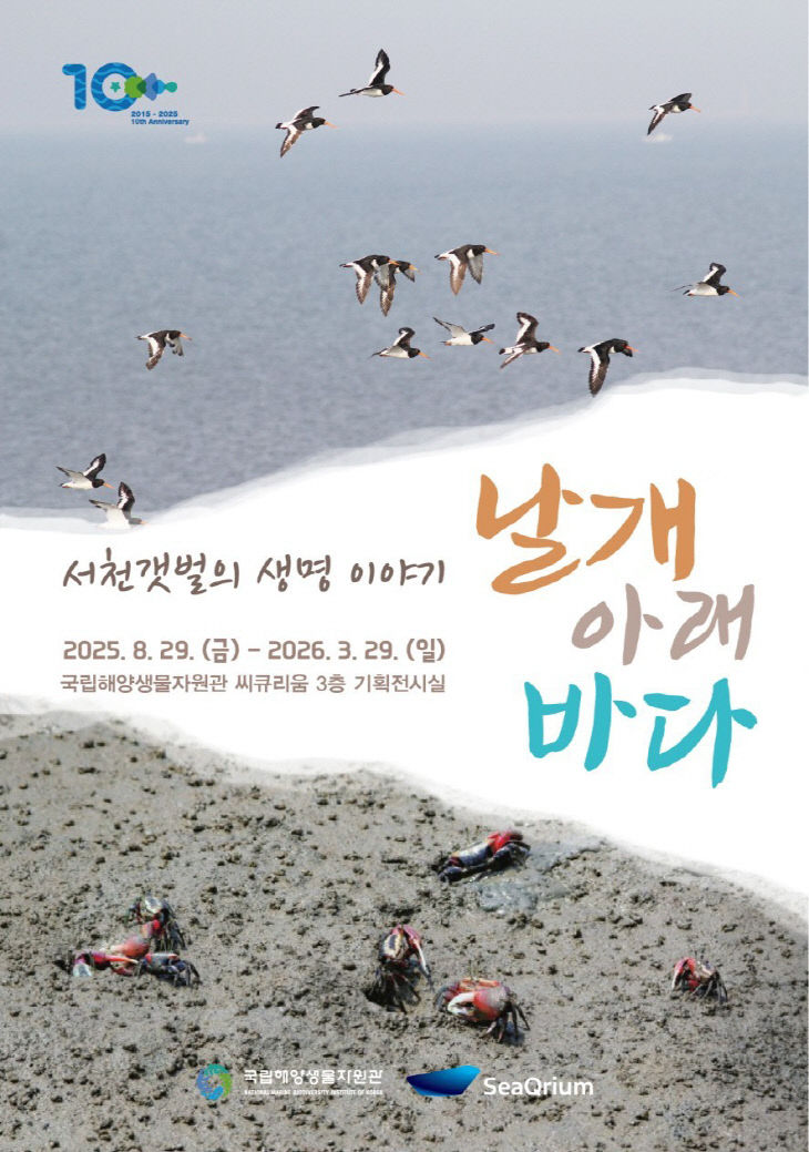 날개 아래 바다 서천갯벌의 생명이야기 포스터