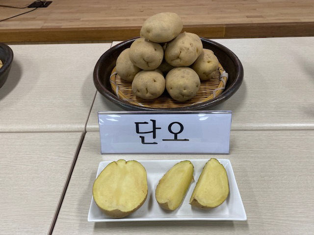 신품종 단오