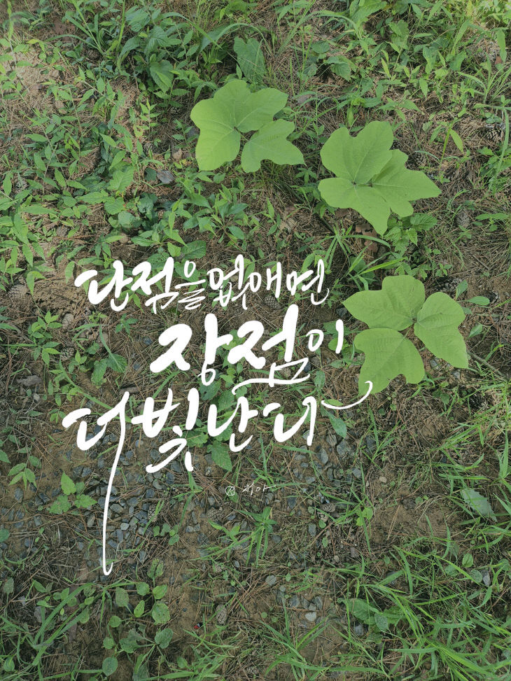 KakaoTalk_20250902_084428470
