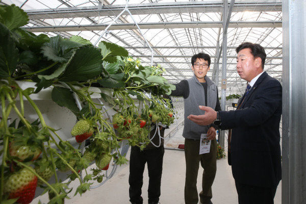 팜스마트