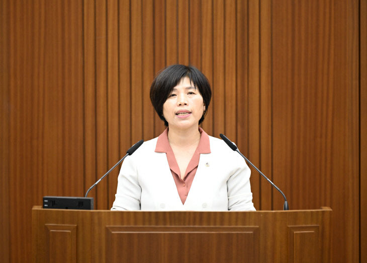 김현옥 의원