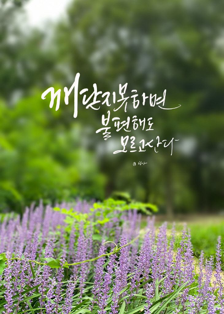 KakaoTalk_20250904_085627720