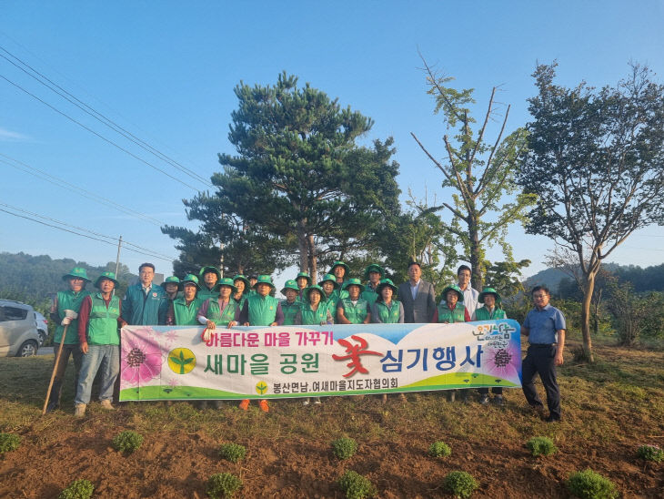 7.봉산면 새마을회 국화 식재 행사 모습 (1)