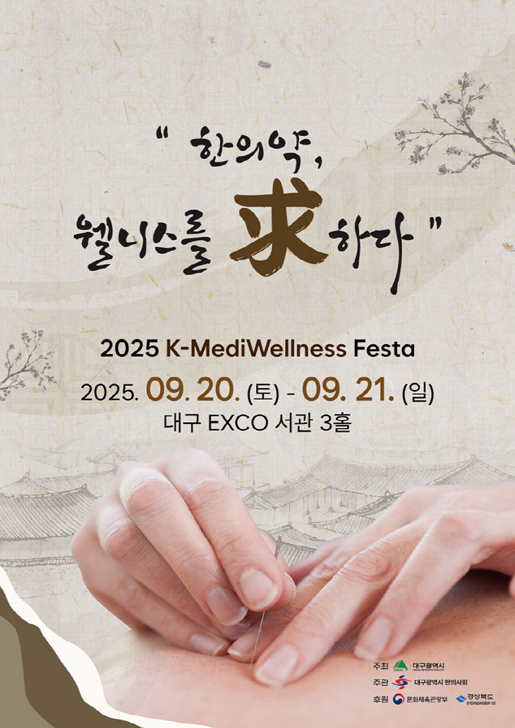 메디월리스 페스타 포스터