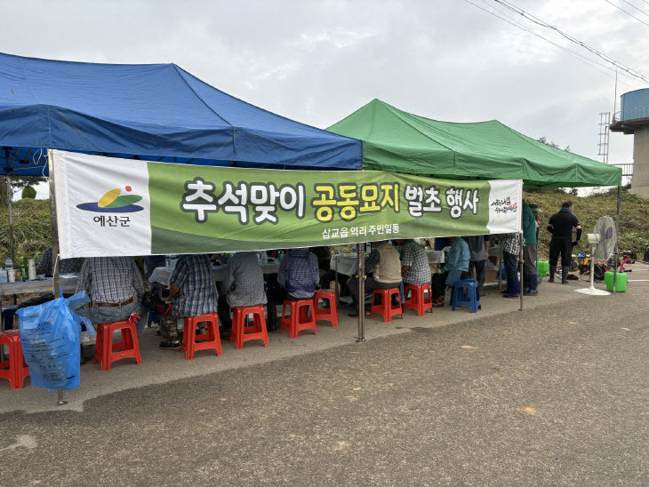 6.삽교읍 무연분묘 벌초작업 모습 (1)
