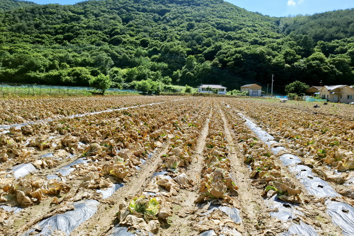 피해농가 지원) (2)