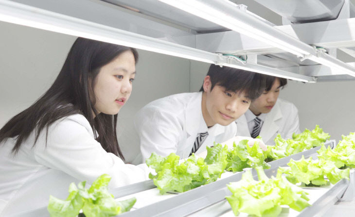 스마트팜과1