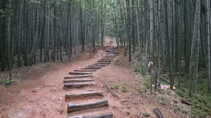 KakaoTalk_20250918_185235129_06