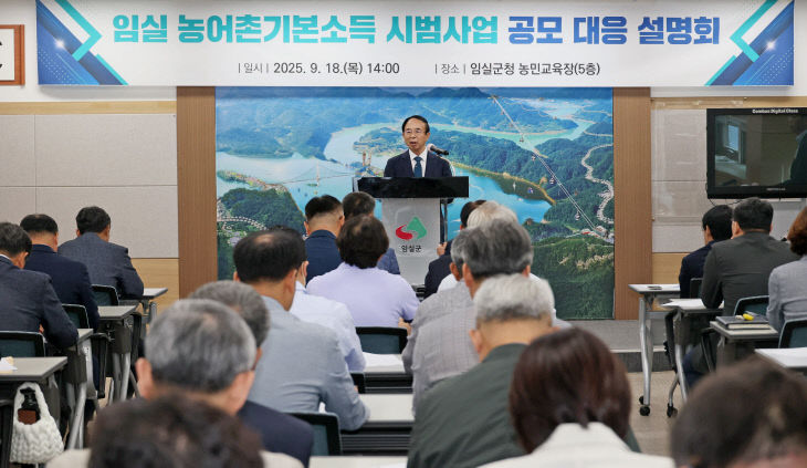 임