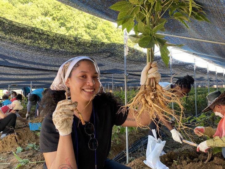 인삼캐기 체험여행