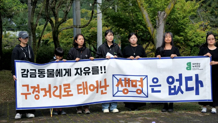 구생없 애도제 01